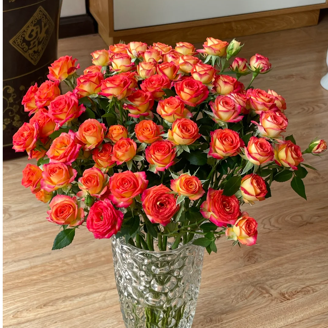 【爱丽丝泡泡10支】云南鲜花 全店任意两件升级顺丰送货上门