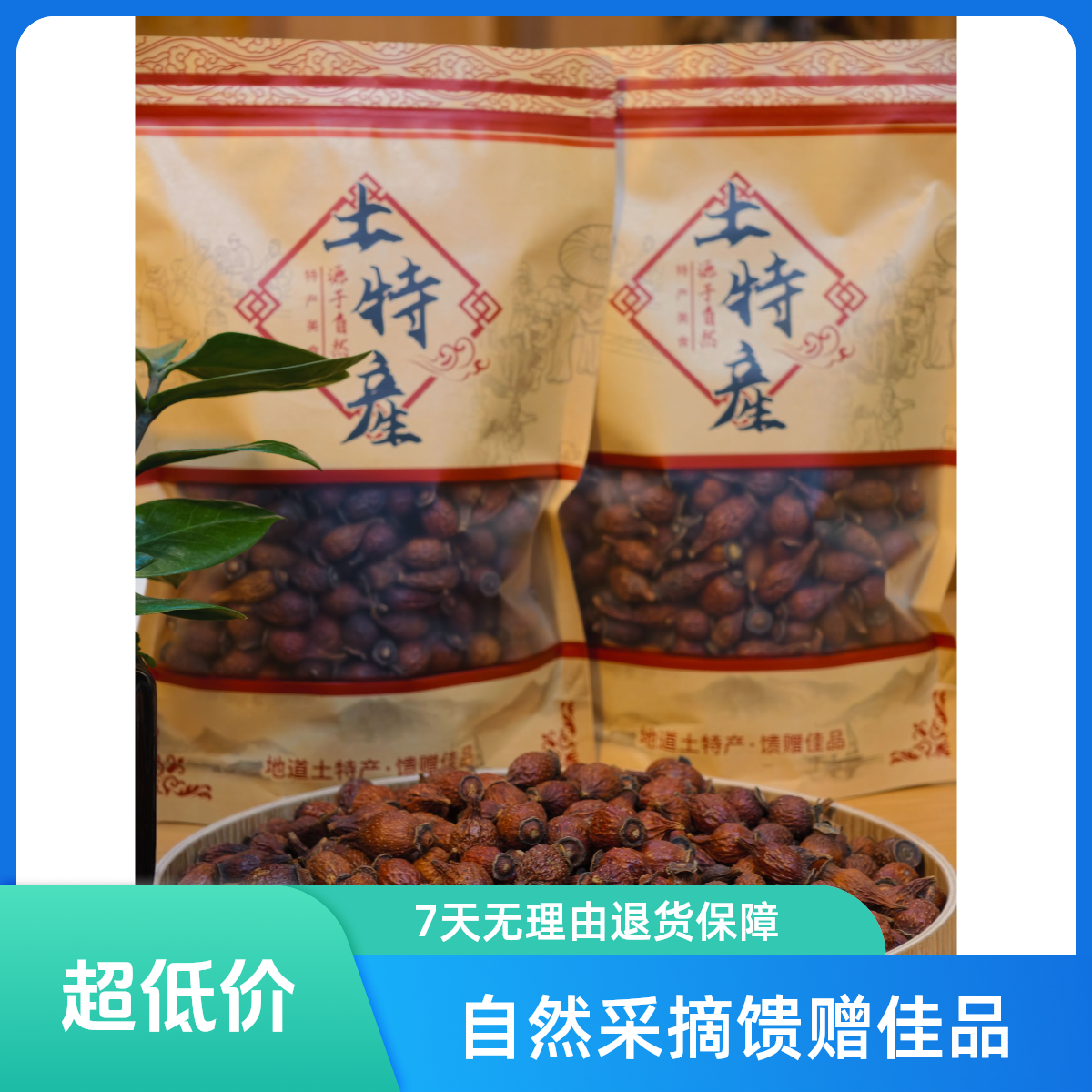 自然采摘纯正金樱子