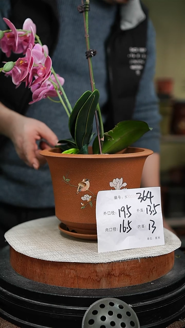 【闪购商品】紫砂花盆紫砂花盆364+z