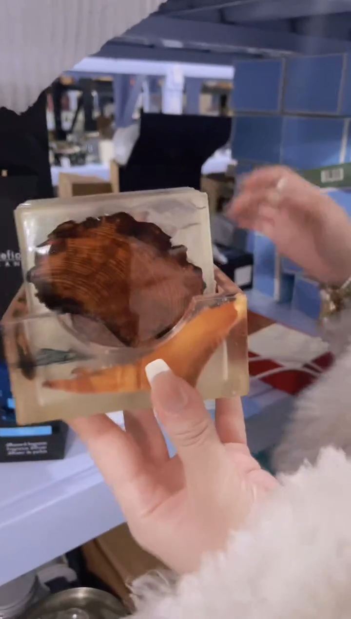 【闪购商品】茶宠豆包儿推荐饰品摆件