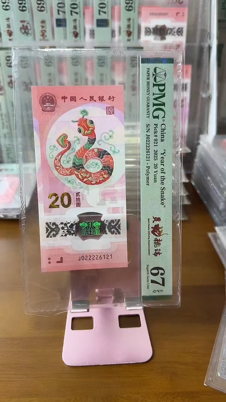 塑料022226121-蛇钞单张