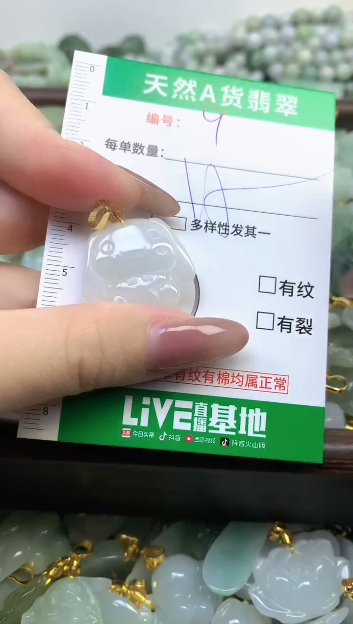 颈饰未镶嵌翡翠纯天然缅甸A货翡翠