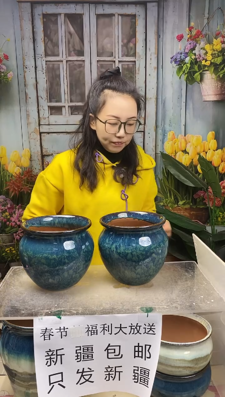 【闪购商品】红陶蓝色圆口陶盆两个装