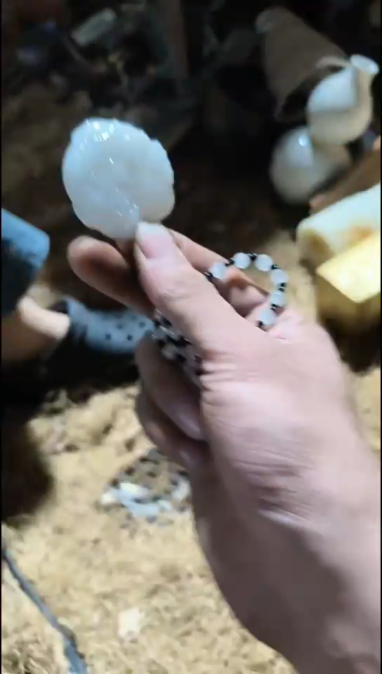 香榧木（1个小复利）