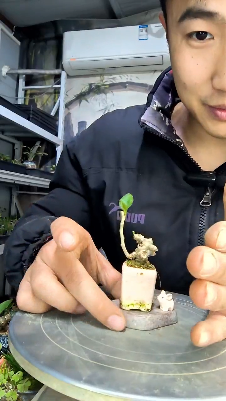 喻*中青园艺一物一拍花167