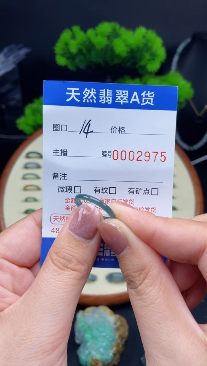 【闪购商品】翡翠未镶嵌戒指戒圈