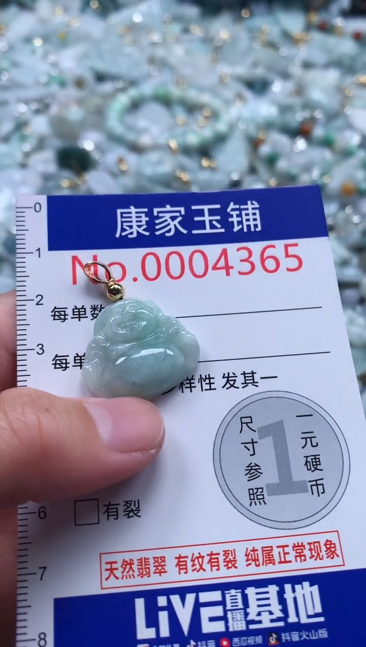 翡翠未镶嵌吊坠(不含链)4365