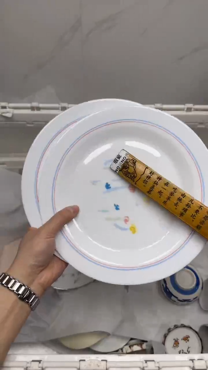 【闪购商品】594回流瓷器默认微瑕，18.8包邮