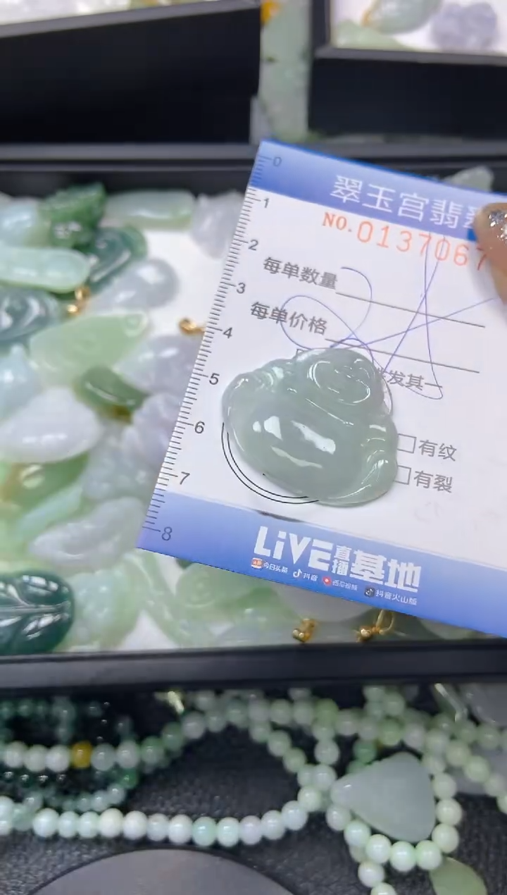 翡翠未镶嵌颈饰闪购0137067