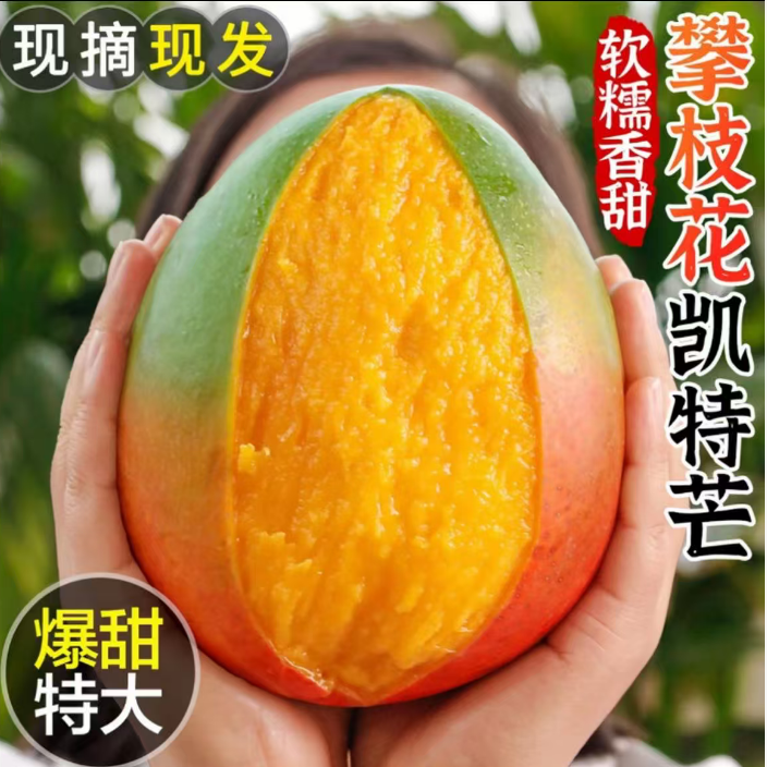 【爆甜芒果】当季四川攀枝花凯特芒果新鲜应季水果包邮大脸芒果整箱