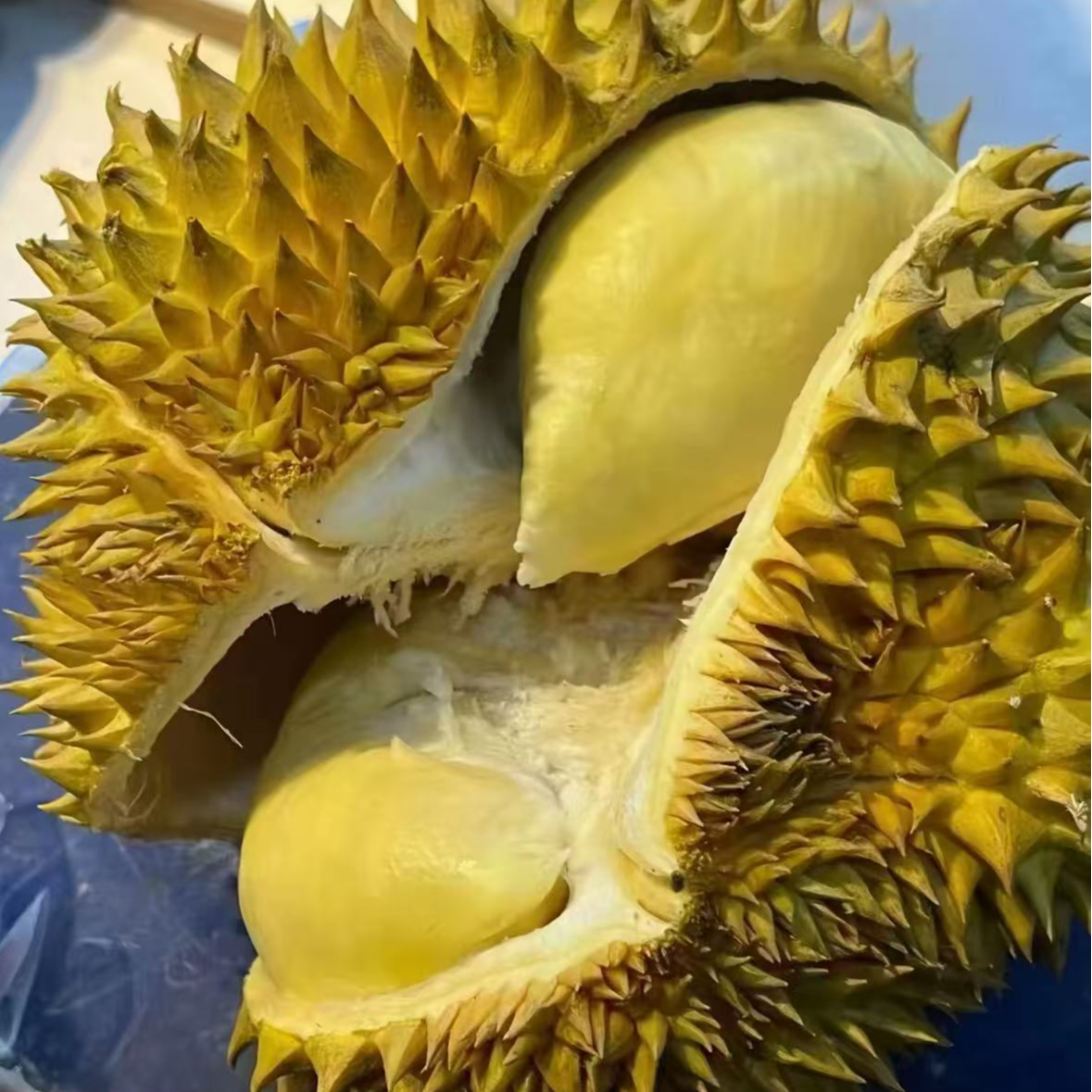 【冷链次日达】泰国树熟榴莲冻肉520g 盒装金枕榴莲肉软糯香甜液氮果肉金枕