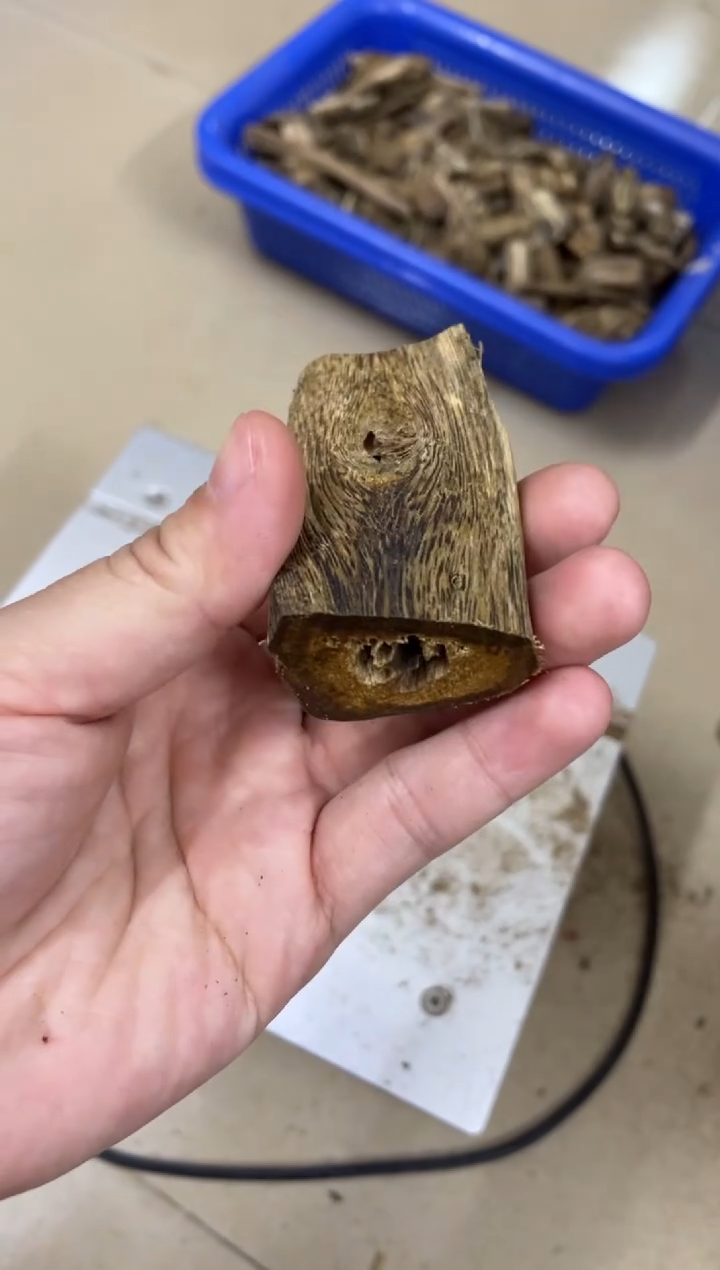 【闪购商品】沉香木沉香碎屑棋楠沉香 原料文创1