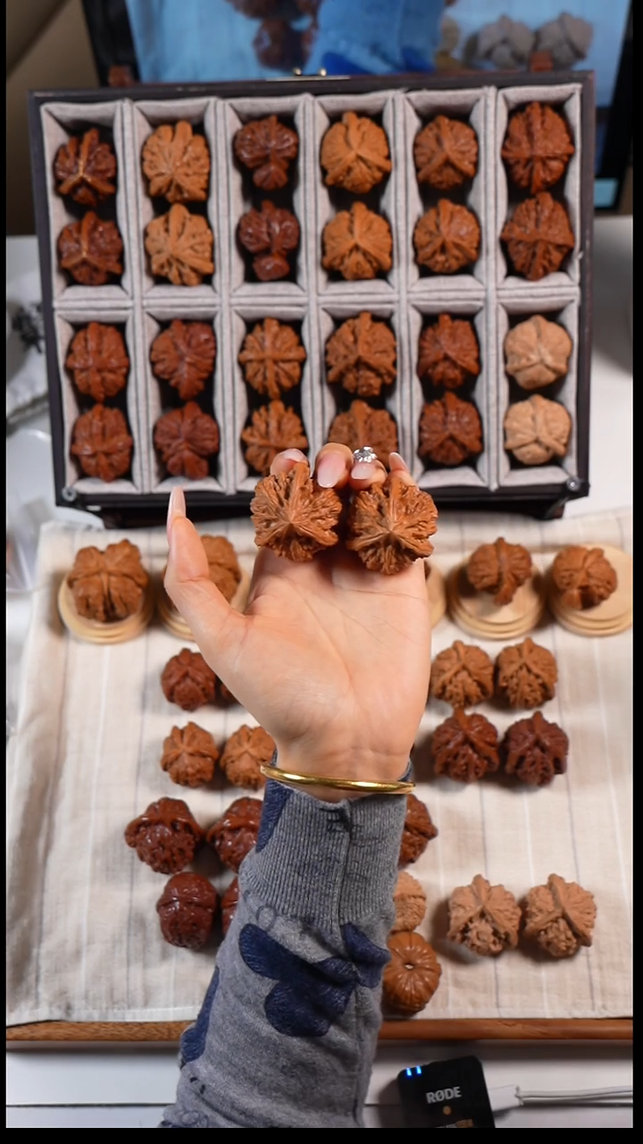 核桃御龙奔666666