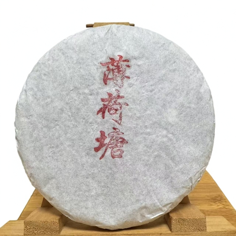 【新品上市】2025年薄荷塘高端普洱茶古树春生茶饼茶200g