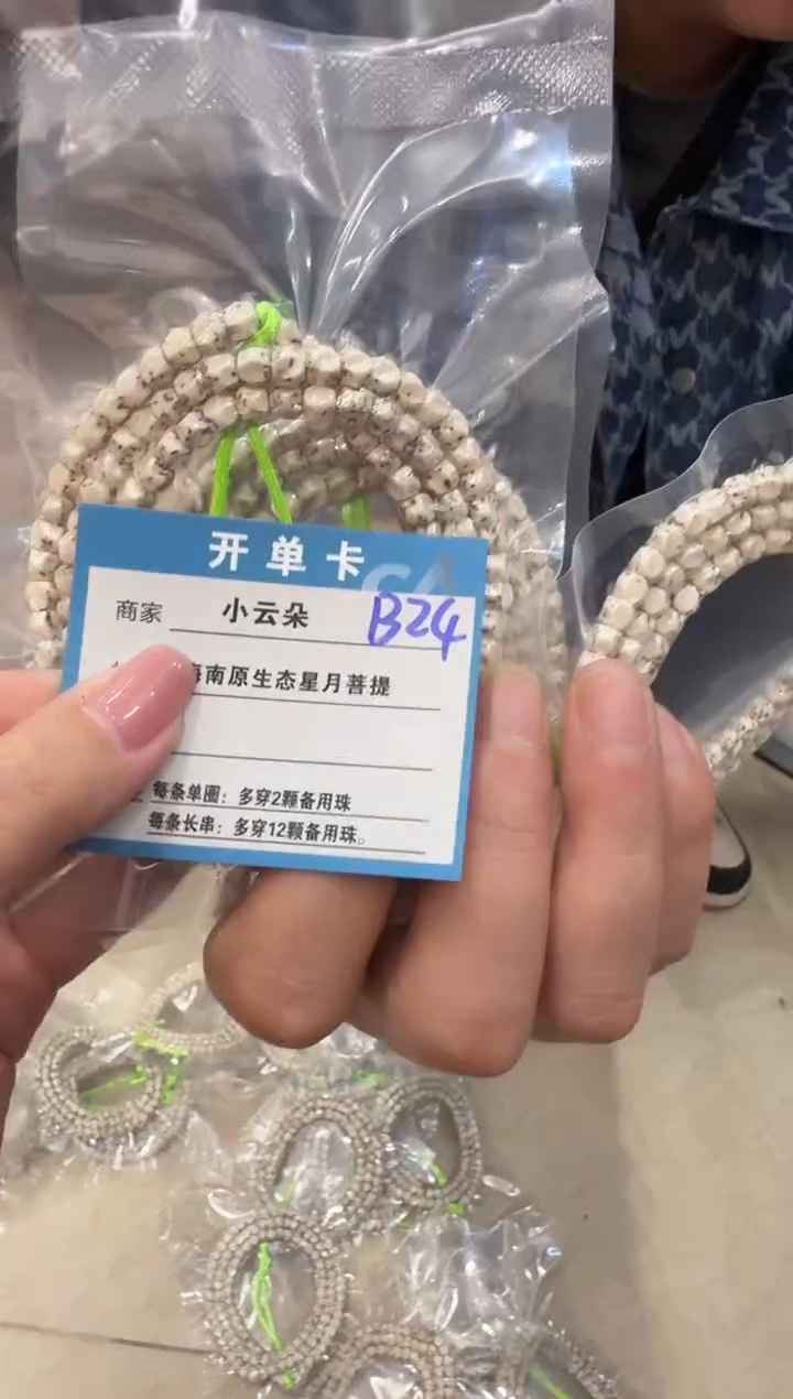 吊坠星月菩提B24