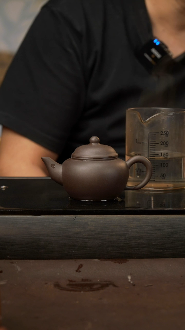 茶壶紫砂19，鸽嘴水平，黑料，120cc
