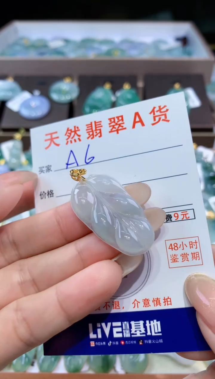 颈饰未镶嵌翡翠 天然翡翠A货挂件