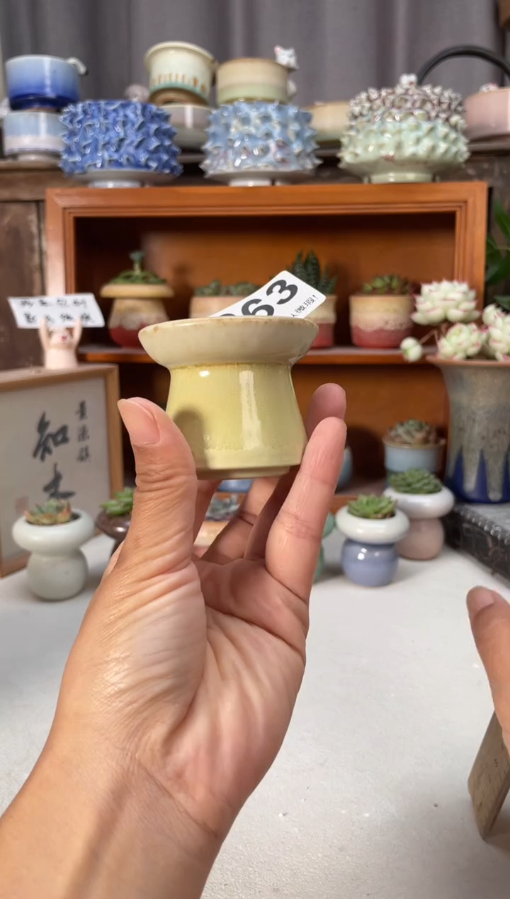 瓷片663小芳花盆直播编号