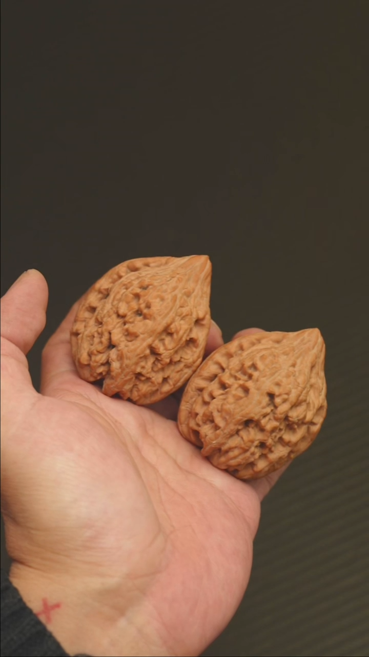 2025核桃季精品大沽石44