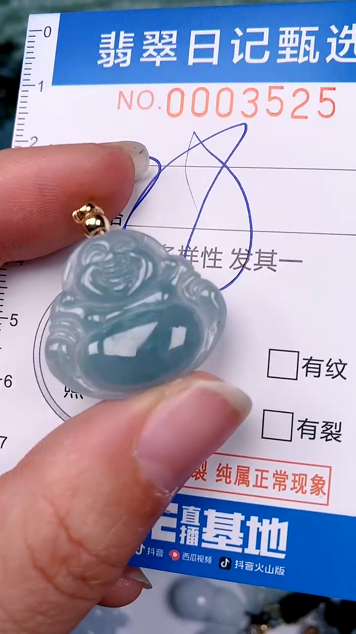 【闪购商品】翡翠颈饰未镶嵌00003525