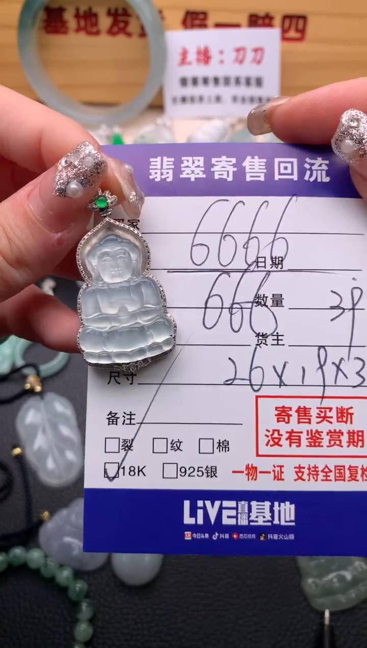 翡翠18K金镶嵌颈饰21013861