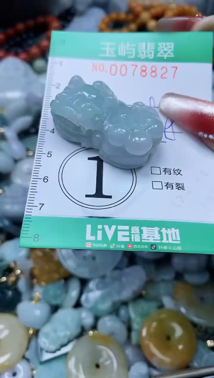 【闪购商品】翡翠颈饰未镶嵌闪购0078827