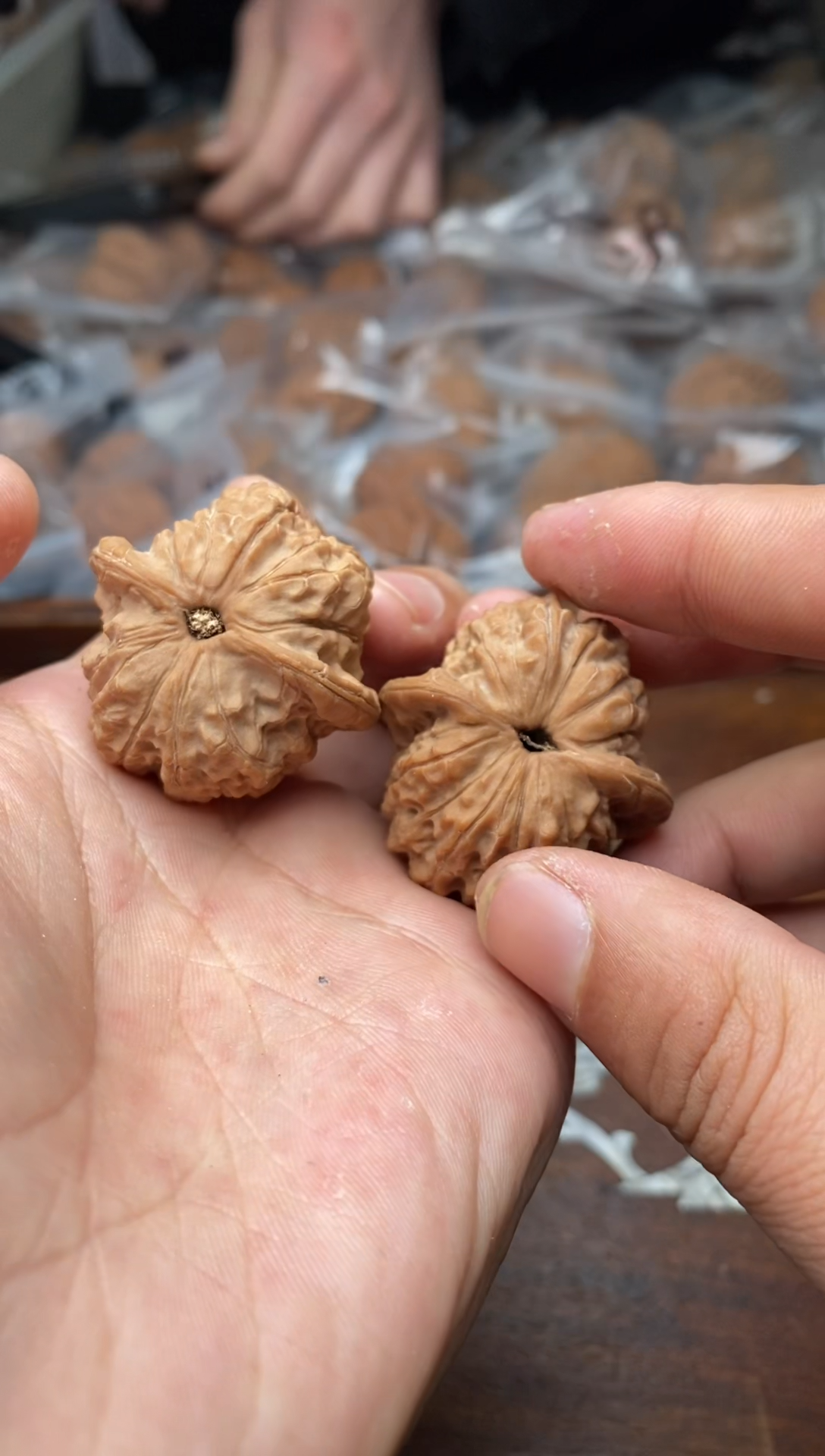 【闪购商品】文玩核桃把件A336号36尺血麒麟