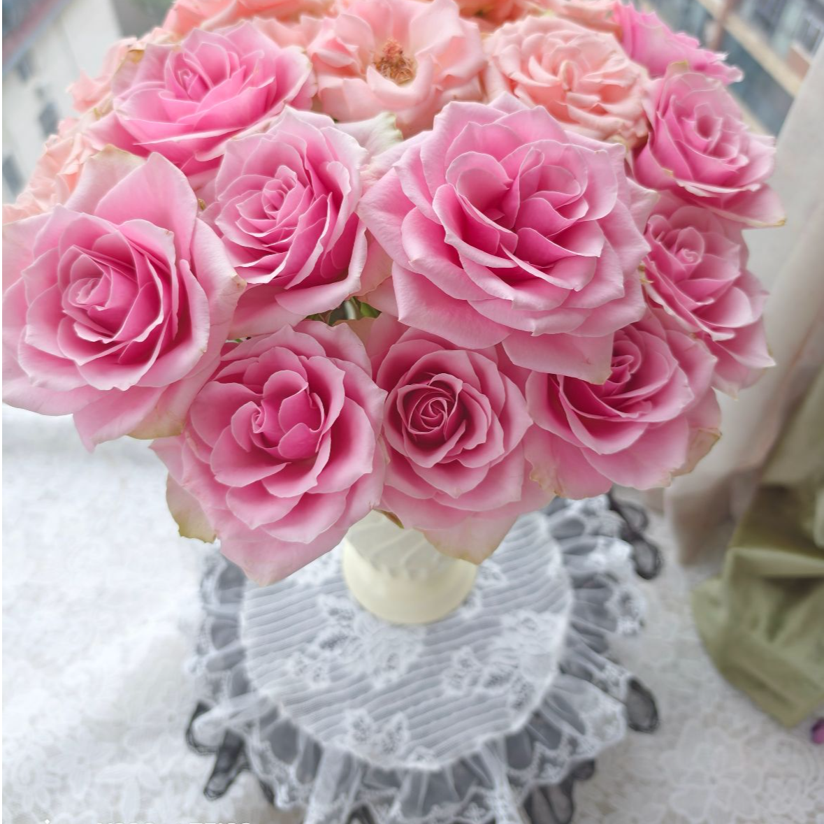 【一品花集】稀有蔷品【皇家雅典娜】单头玫瑰10支