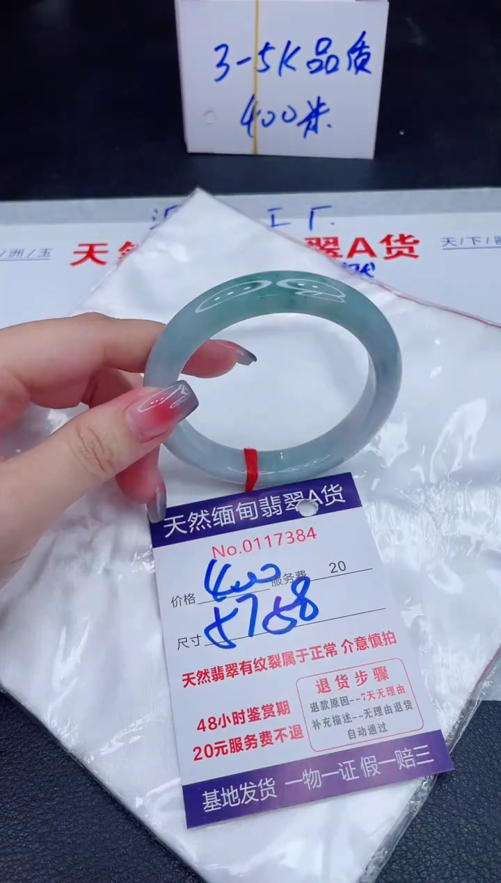 未镶嵌手镯翡翠400.00