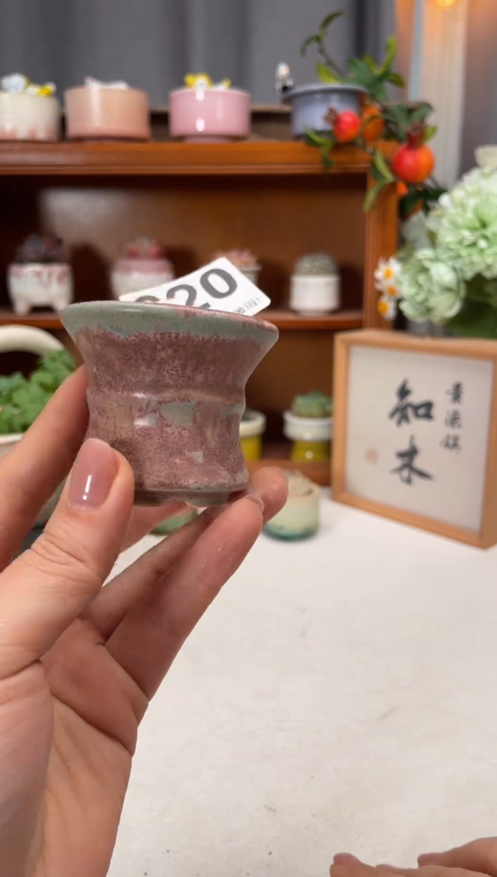 瓷片620知木小芳花盆