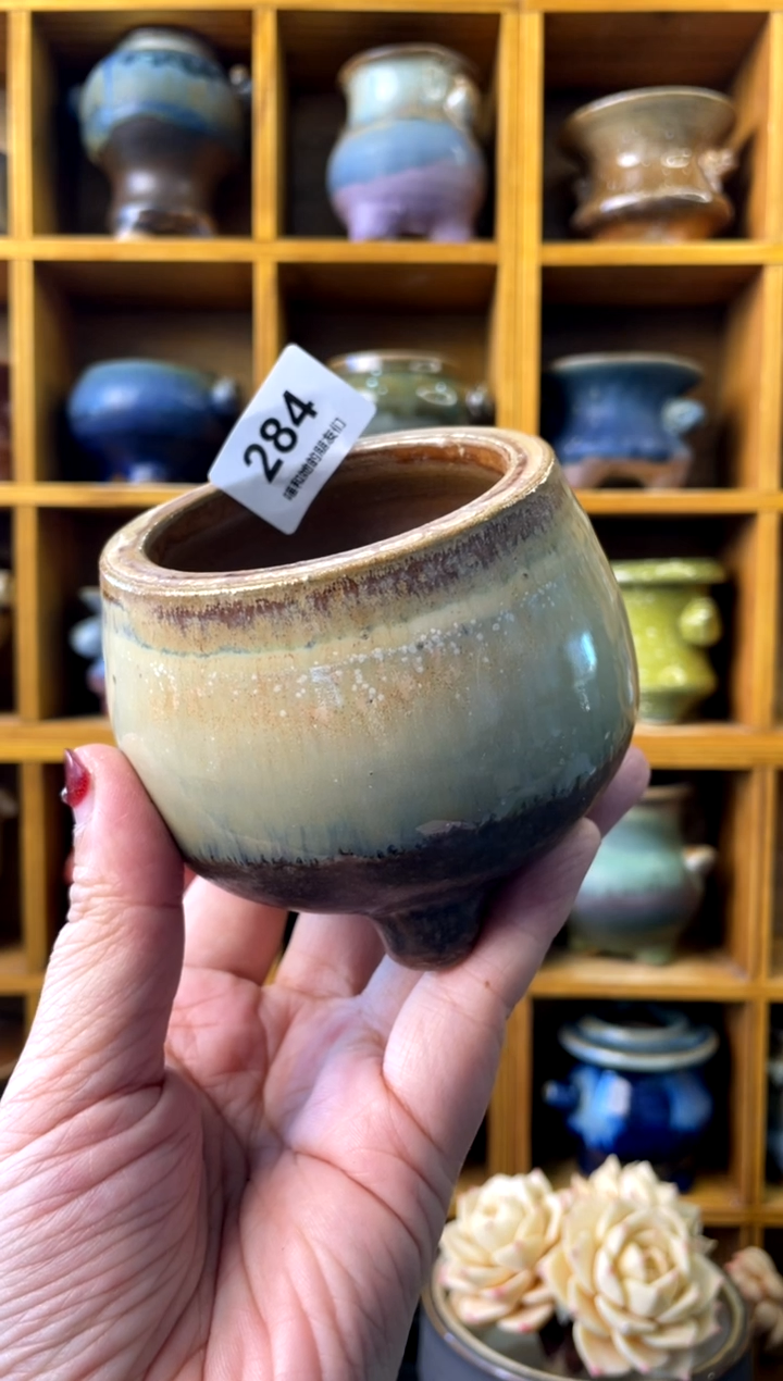 【闪购商品】陶284 内口6【 来自成人礼的特 】