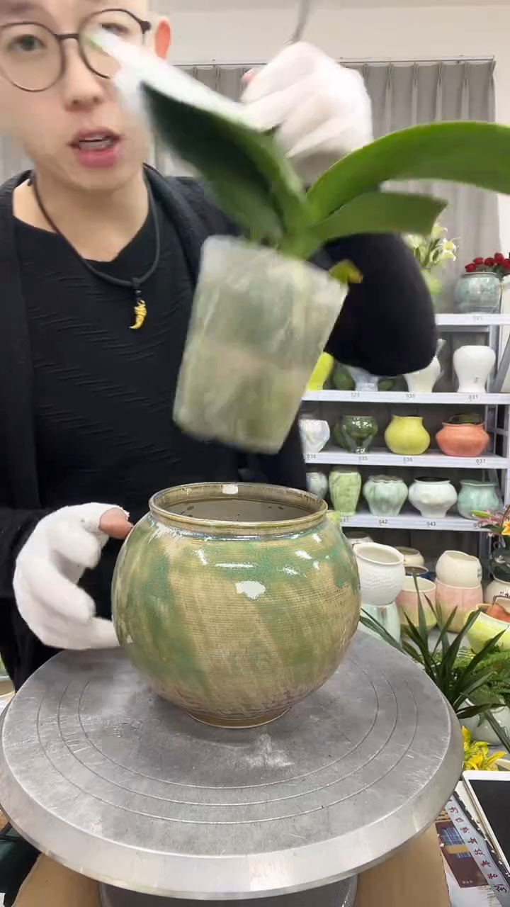 直播链接  高：  14.5 口：10.5