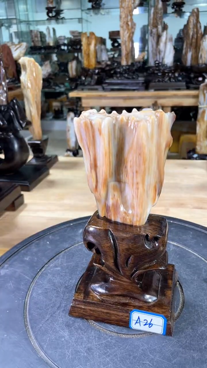 【闪购商品】硅化玉珠宝奇石未镶嵌258