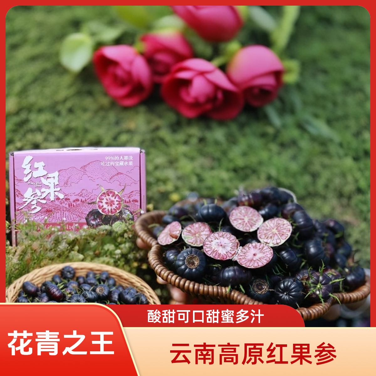 刀刀-云南红果参
