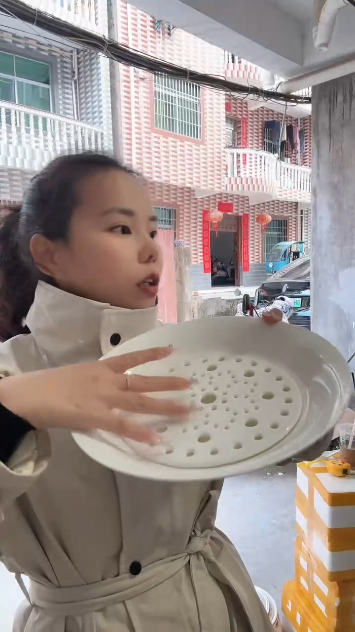 瓷片一个全白的高端饺子盘