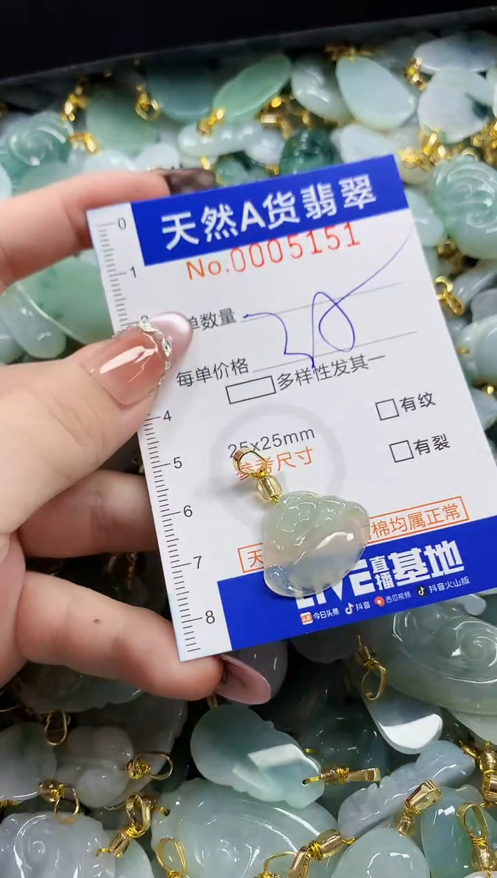 颈饰未镶嵌翡翠天然A货翡翠