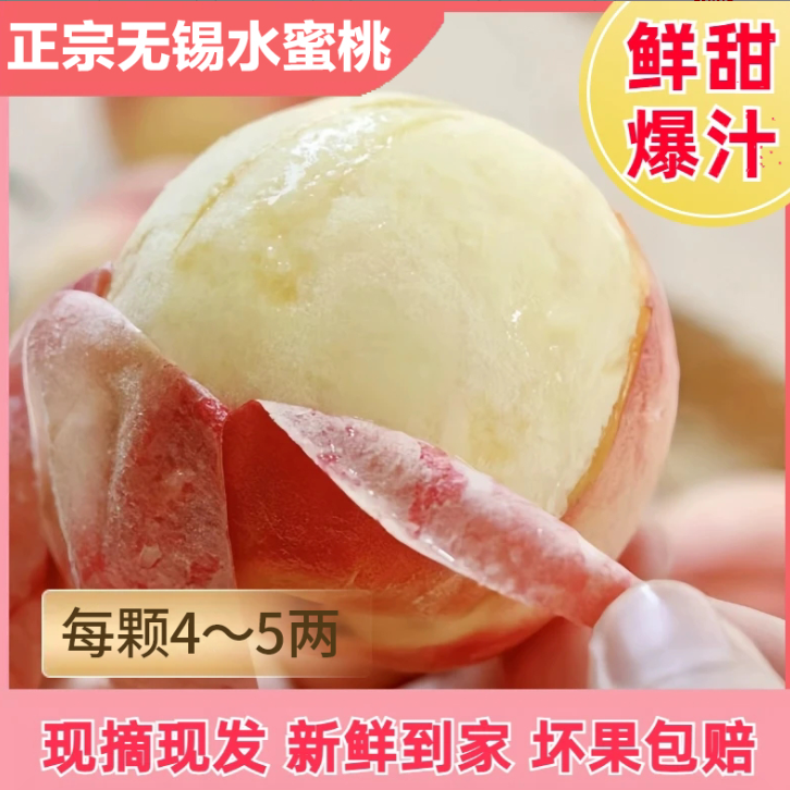 【无锡正宗水蜜桃】12颗5-4两皮薄多汁行走的榨汁机夏日尝鲜香甜爆汁江苏省