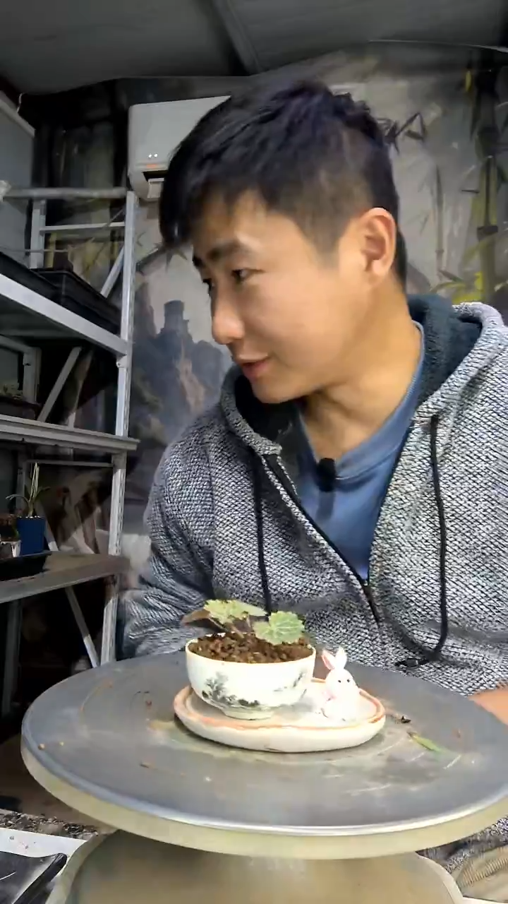 ?中青园艺一物一拍花151