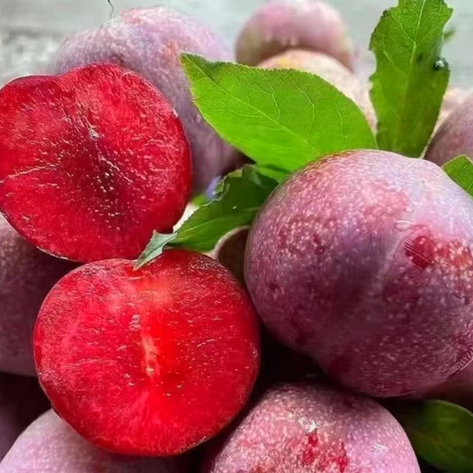 广西红心三华李当季新鲜现摘酸甜脆爽