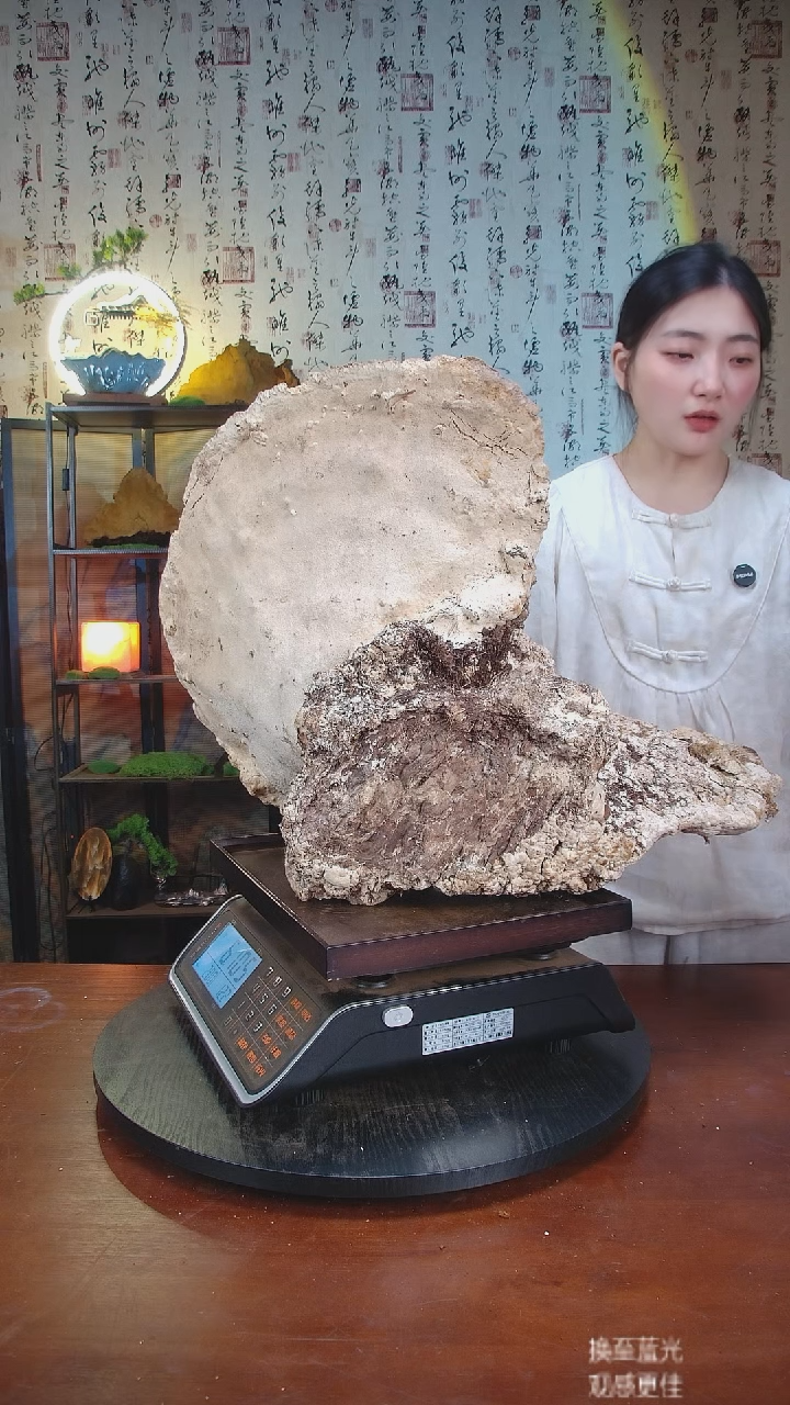 白灵芝中国大陆楊****承【藏区 野生】白木灵芝12.21斤130-140年份