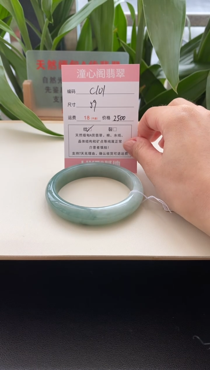未镶嵌手镯翡翠59.1圈口编码c101