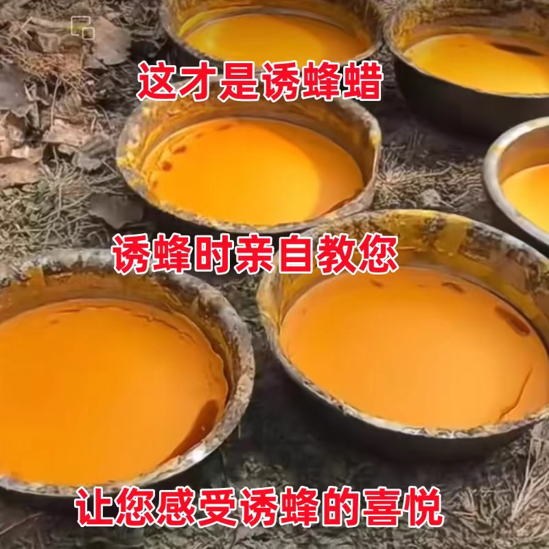 蜂蜡 诱蜂专用蜂蜡 不是意蜂蜂蜡也不是工业蜡 中蜂蜂蜡