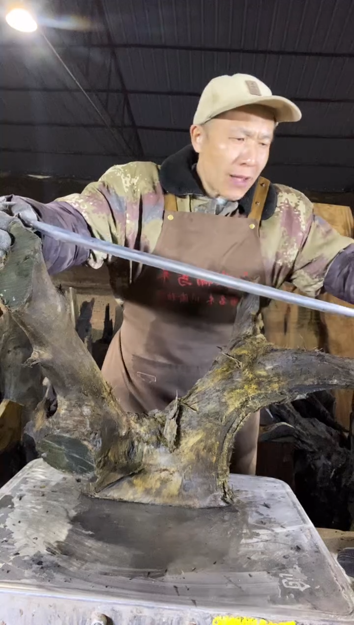 其他楠木（金丝楠）金丝楠小叶桢楠8