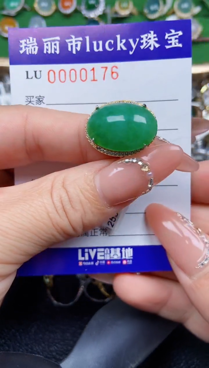 【闪购商品】翡翠颈饰银S925镶嵌0176