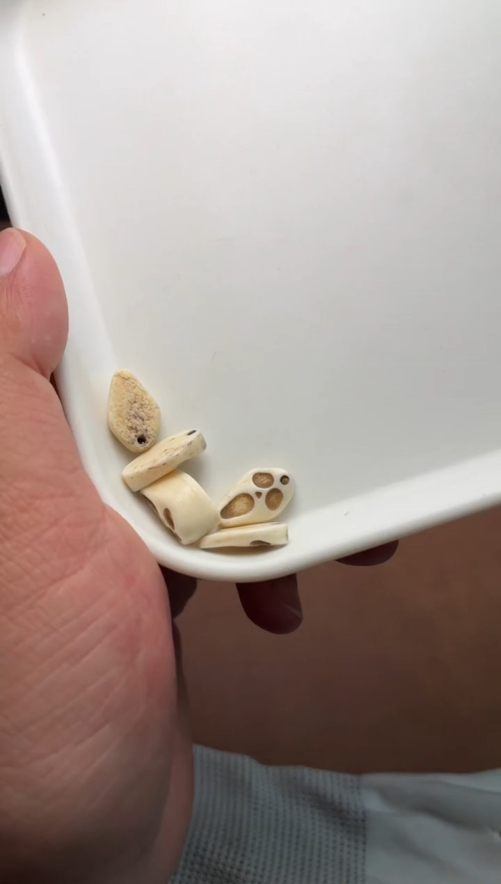 牛骨其他爱*P342-全部一起发