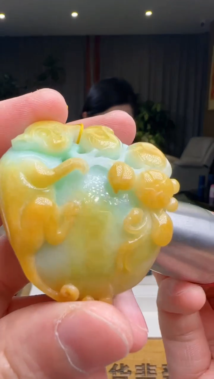 【闪购商品】翡翠颈饰未镶嵌DY@@960Q3J15061