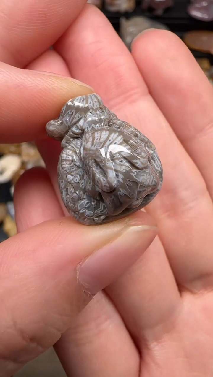 硅化珊瑚（珊瑚玉）未镶嵌颈饰182