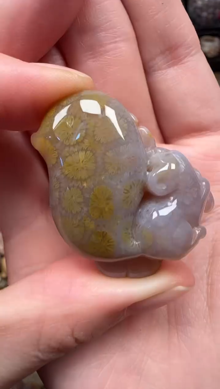 颈饰未镶嵌硅化珊瑚（珊瑚玉）150