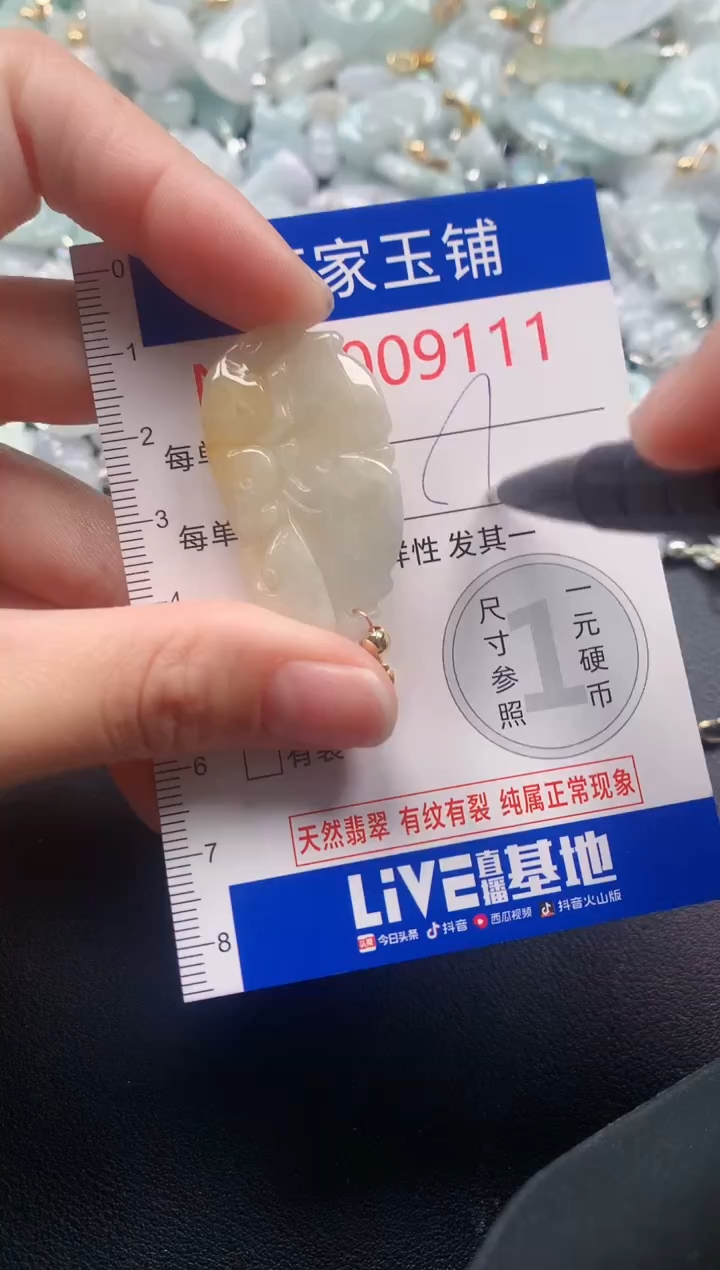 颈饰未镶嵌翡翠9111
