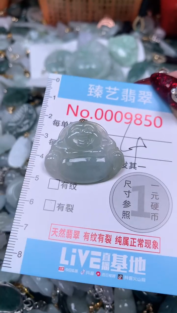 颈饰未镶嵌翡翠9850